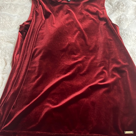 Ellen Tracey velvet top, so beautiful - Picture 2 of 5